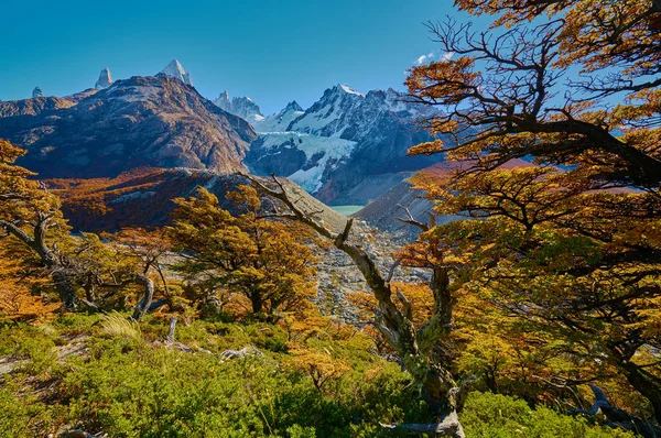 Landschap met herfst bomen, bewolkte hemel en de sneeuw op de bergen in het Nationaal Park Los Glaciares National Park. Argentijns Patagonië in de herfst. — Stockfoto