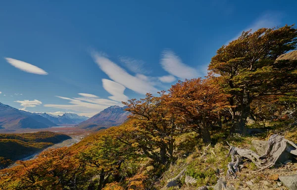 Landschap met herfst bomen, bewolkte hemel en de sneeuw op de bergen in het Nationaal Park Los Glaciares National Park. Argentijns Patagonië in de herfst. — Stockfoto