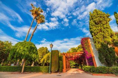Çiçekli ağaçlar öncesi saat Vivieros parkında. Valencia, İspanya