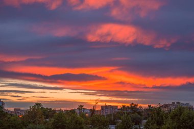 Park Turia yağmur önce parlak bir gün batımı. Valencia, İspanya