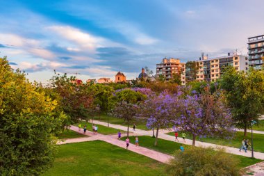Çiçeklenme öncesi saat Turia park ağaçlarda. Valencia, İspanya