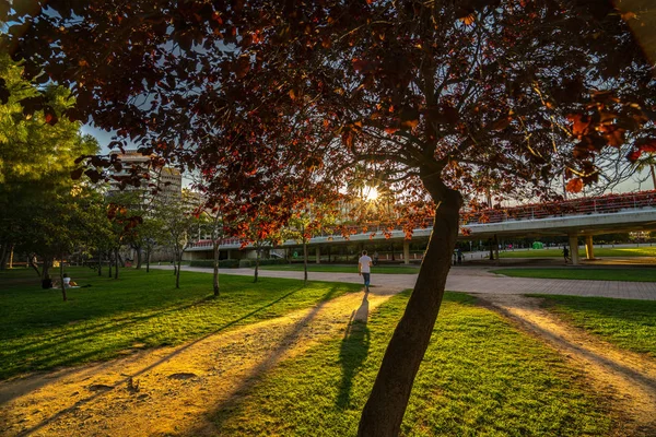 Lidé Chodí Teplý Jarní Večer Při Západu Slunce Turia Park — Stock fotografie