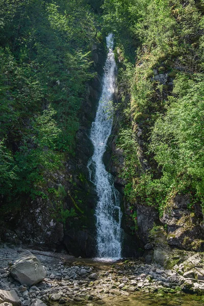 Hermosa cascada de Altai en un lago teleckoe —  Fotos de Stock