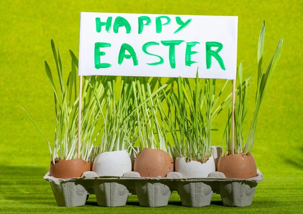 Huevos de Pascua y hierba verde y póster — Foto de Stock