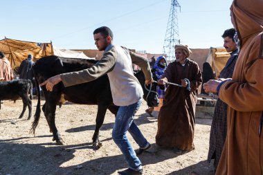 Fas. Çarşı yerel köyde ikamet Evcil Hayvan satan