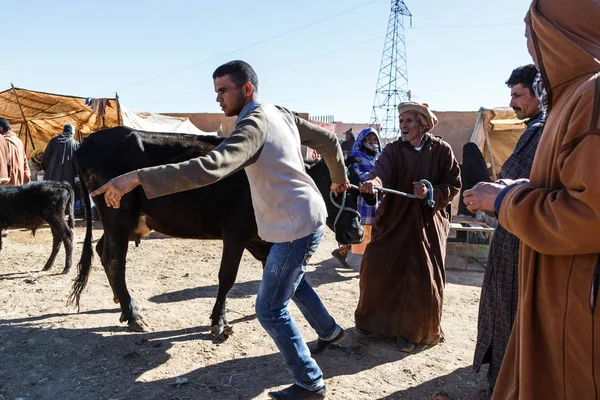 Fas. Çarşı yerel köyde ikamet Evcil Hayvan satan