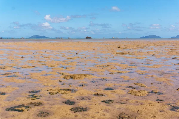 Stilts, Palawan Adası Filipinler Köyü