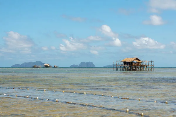 Stilts, Palawan Adası Filipinler Köyü