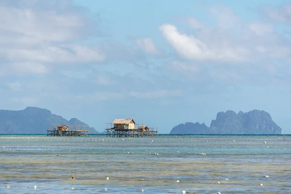 Stilts, Palawan Adası Filipinler Köyü