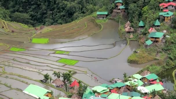 Filippijnse Eilanden Batad Berg Dorp Rijst Terrassen — Stockvideo