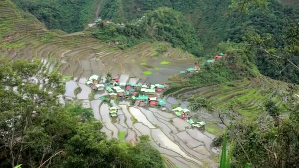 Ilhas Filipinas Batad Aldeia Montanha Terraços Arroz — Vídeo de Stock