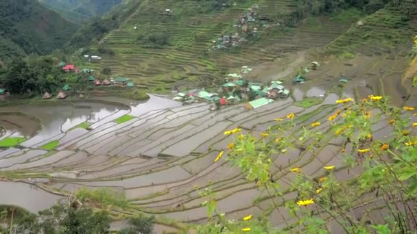 Filipínské Ostrovy Batad Horské Vesnice Rýžové Terasy — Stock video