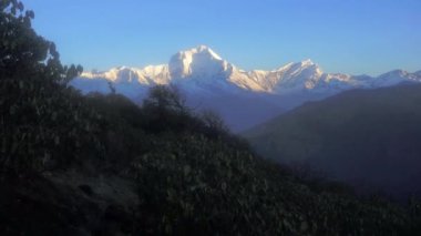 Nepal. Dhaulagiri kar-beyaz tepe dağ şafak ışık.
