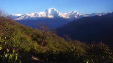 Nepal. Dhaulagiri kar-beyaz tepe dağ şafak ışık.