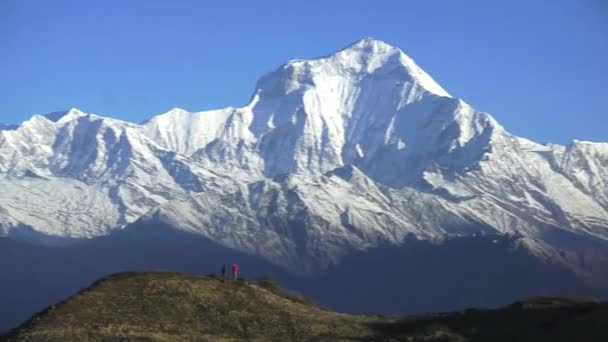 Nepal Pico Blanco Como Nieve Montaña Dhaulagiri Luz Del Amanecer — Vídeo de stock