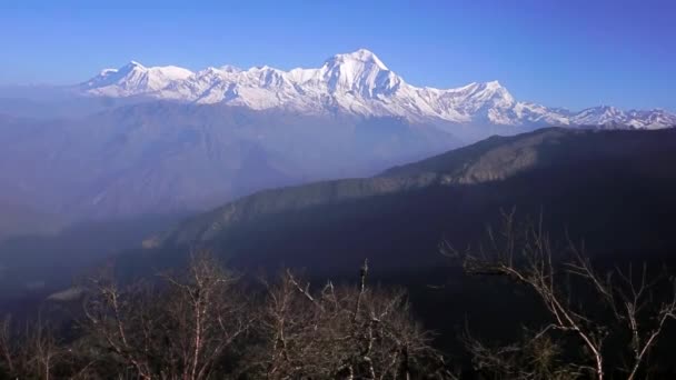 Nepal Pico Blanco Como Nieve Montaña Dhaulagiri Luz Del Amanecer — Vídeo de stock