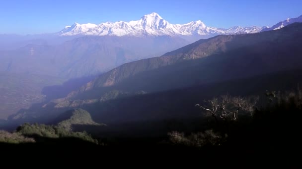 Nepal Pico Blanco Como Nieve Montaña Dhaulagiri Luz Del Amanecer — Vídeo de stock