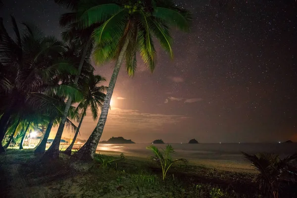 Filipinler. denizde palmiye ağaçları