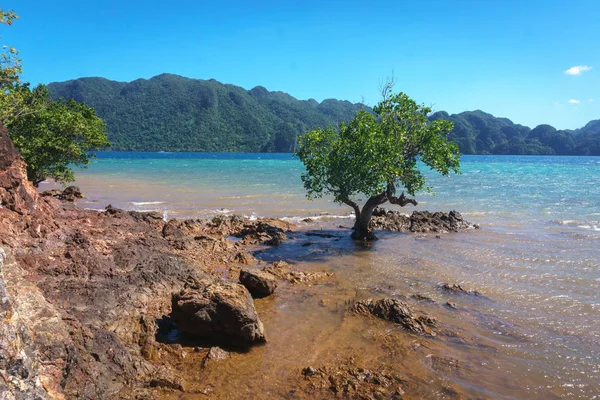 Filipinas. Lindas paisagens das ilhas . — Fotografia de Stock