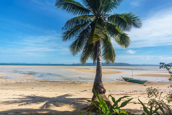 Philippines. palm trees on the sea. Palawan Island.