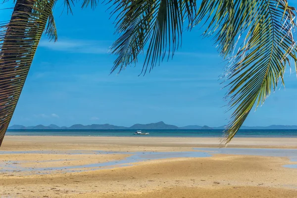 Filipinas. palmeiras no mar. Ilha Palawan . — Fotografia de Stock