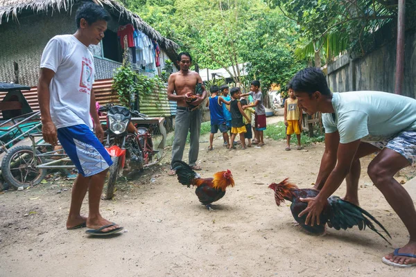 Filipinler'de geleneksel eğlence horoz dövüşü olduğunu. 2018 yılı