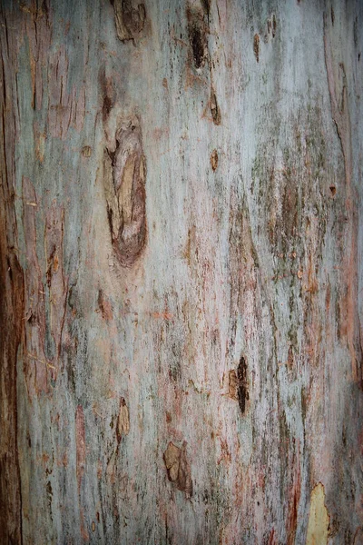 Fondo Superficie Legno Naturale — Foto Stock