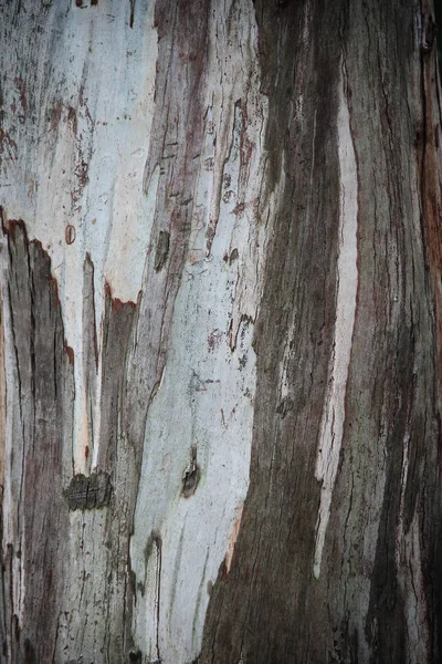 天然木材表面的背景 — 图库照片