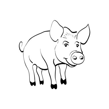 Domuz kroki Çin yeni yılı 2019