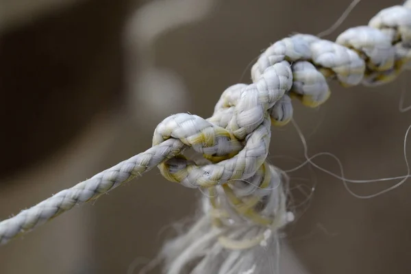Rope tied in knots. Shallow depth of field