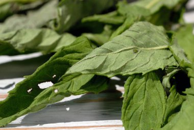 Nane hafif bir arka plan closeup kurutulur