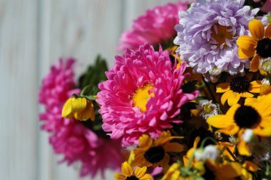 Hafif bir arka plan closeup karşısında bir buket pembe papatyalar