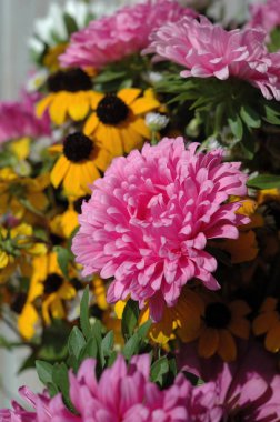 Hafif bir arka plan closeup karşısında bir buket pembe papatyalar