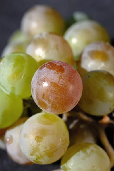 Karanlık arka plan önünde Lidya üzüm demeti