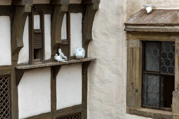 Wartburg Kale Duvarına Beyaz Güvercinler — Stok fotoğraf