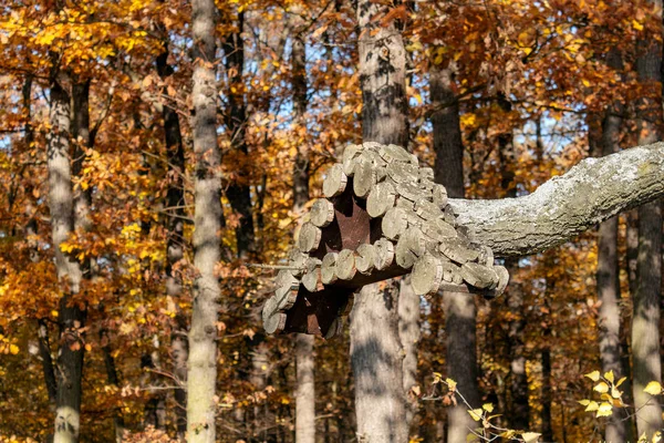 Fågelfoder av trä — Stockfoto