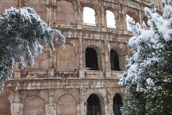 2018 イタリアのローマで雪の素敵な一日 雪の下コロッセオの美しい景色 — ストック写真