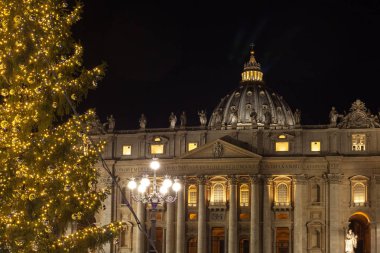 Roma, İtalya, Saint Peter Bazilikası'nın önünde Saint Peter Meydanı'nda güzel büyük Noel ağacı