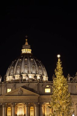 Roma, İtalya, Saint Peter Bazilikası'nın önünde Saint Peter Meydanı'nda güzel büyük Noel ağacı