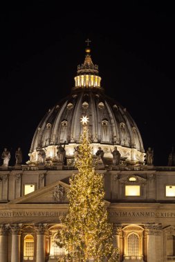 Roma, İtalya, Saint Peter Bazilikası'nın önünde Saint Peter Meydanı'nda güzel büyük Noel ağacı