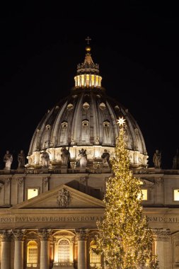 Roma, İtalya, Saint Peter Bazilikası'nın önünde Saint Peter Meydanı'nda güzel büyük Noel ağacı