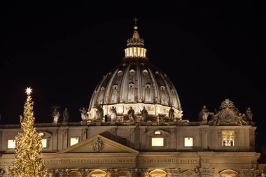 Roma, İtalya, Saint Peter Bazilikası'nın önünde Saint Peter Meydanı'nda güzel büyük Noel ağacı