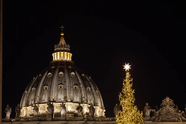 Piękne Duże Choinki Saint Peter Placu Przed Bazyliką Świętego Piotra — Zdjęcie stockowe