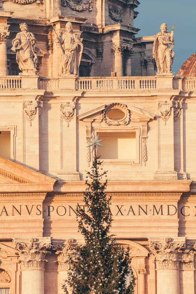 Piękne Duże Choinki Saint Peter Placu Przed Bazyliką Świętego Piotra — Zdjęcie stockowe