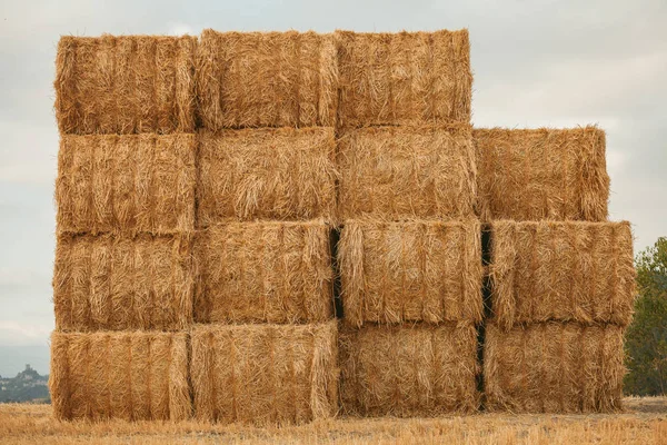 Squared bal of hay in field of Val d\'Orcia, Tuscany, Italy