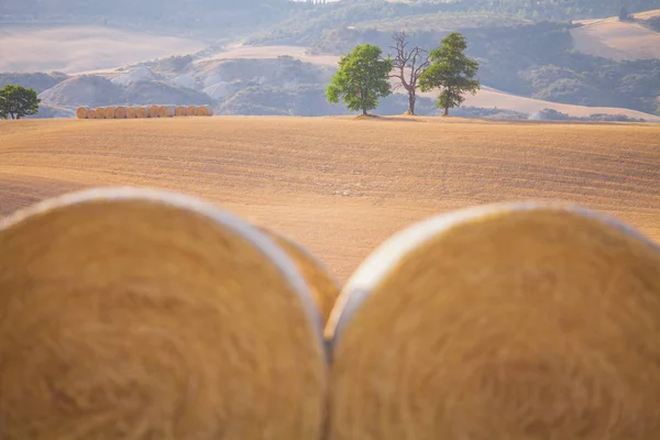 Bal von Heu in einem Feld von val d 'orcia, Toskana — Stockfoto