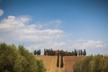 Val d'Orcia'daki Poggio Mangiuoli'nin görünümü, Toskana, İtalya