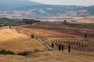 Val d 'Orcia 'da kırsal manzara, Toskana, Italya