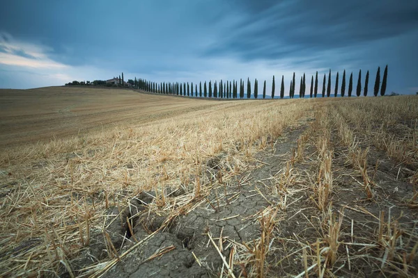 Paesaggio rurale in Val d'Orcia, Toscana, Italia — Foto Stock
