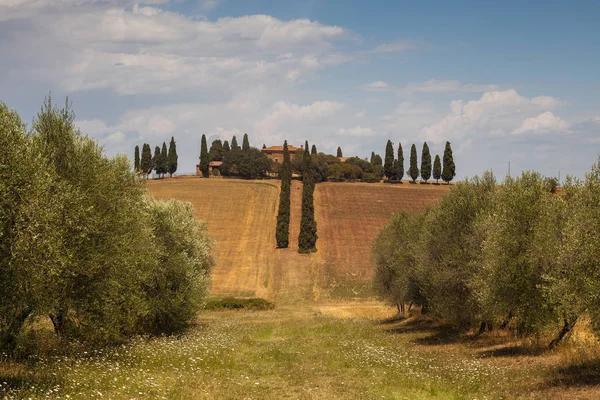 ヴァル・ドルシア、トスカーナ、イタリアのポッジョ・マンギウオリの眺め — ストック写真
